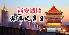 www白虎威尼斯人射精中国陕西-西安城墙旅游风景区