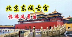 www.com草逼中国北京-东城古宫旅游风景区